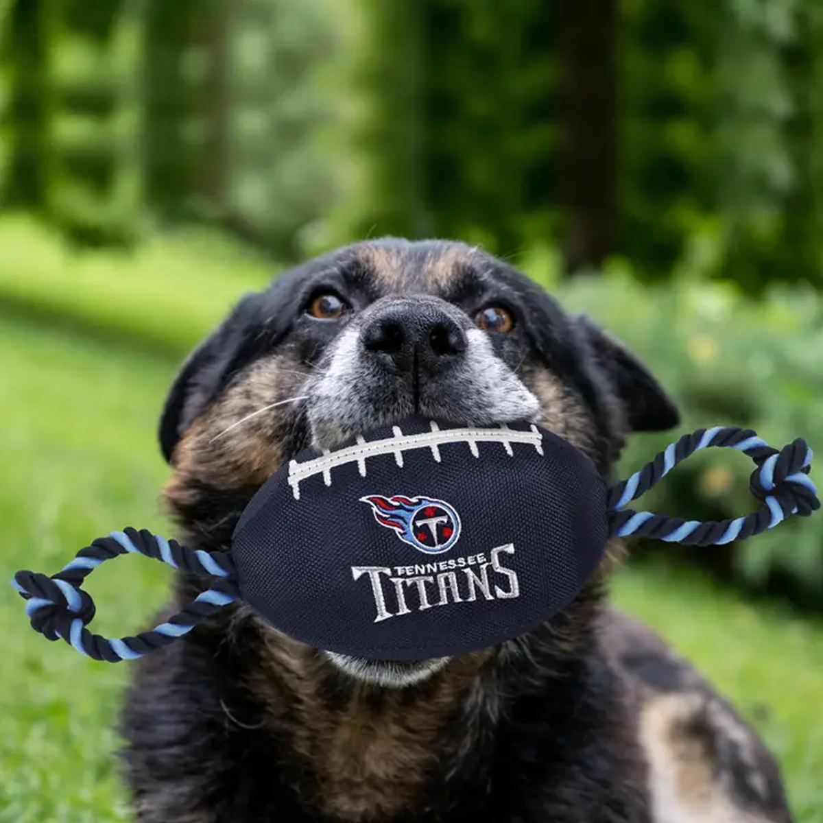 Tennessee Titans Dog Bandana Tennessee Dog Bandana Titans -   Norway